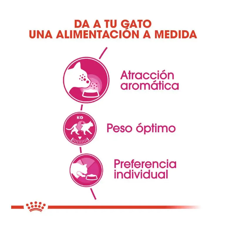 ROYAL CANIN Aroma Exigente / Pienso Para Gatos. Gabo y Gordo E Shop, la mejor tienda online en las Islas Canarias, España, tienda online para mascotas, perros, gatos, conejos, tortugas, animales, accesorios para mascotas en general. 
Gabo y Gordo E Shop in Canary Islands, the best store for pets, dogs, cats, rabbits, turtles, animals, pet accessories.