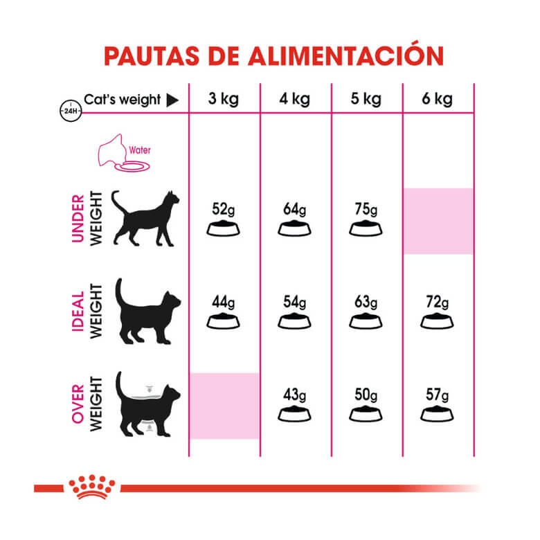 ROYAL CANIN Aroma Exigente / Pienso Para Gatos. Gabo y Gordo E Shop, la mejor tienda online en las Islas Canarias, España, tienda online para mascotas, perros, gatos, conejos, tortugas, animales, accesorios para mascotas en general. 
Gabo y Gordo E Shop in Canary Islands, the best store for pets, dogs, cats, rabbits, turtles, animals, pet accessories.
