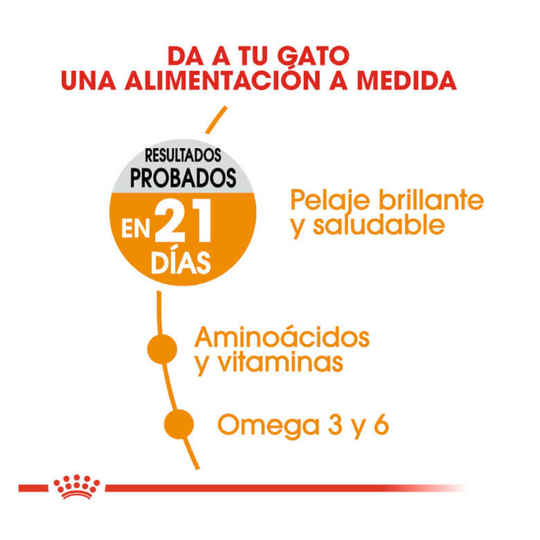 ROYAL CANIN Hair Skin / Pienso Para Gatos. Gabo y Gordo E Shop, la mejor tienda online en las Islas Canarias, España, tienda online para mascotas, perros, gatos, conejos, tortugas, animales, accesorios para mascotas en general. 
Gabo y Gordo E Shop in Canary Islands, the best store for pets, dogs, cats, rabbits, turtles, animals, pet accessories.