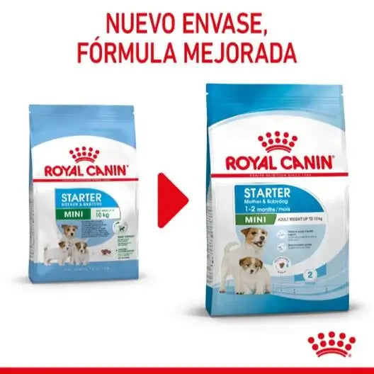 ROYAL CANIN Puppy Mini Starter Gabo y Gordo E Shop, la mejor tienda online en las Islas Canarias, España, tienda online para mascotas, perros, gatos, conejos, tortugas, animales, accesorios para mascotas en general. 
Gabo y Gordo E Shop in Canary Islands, the best store for pets, dogs, cats, rabbits, turtles, animals, pet accessories.