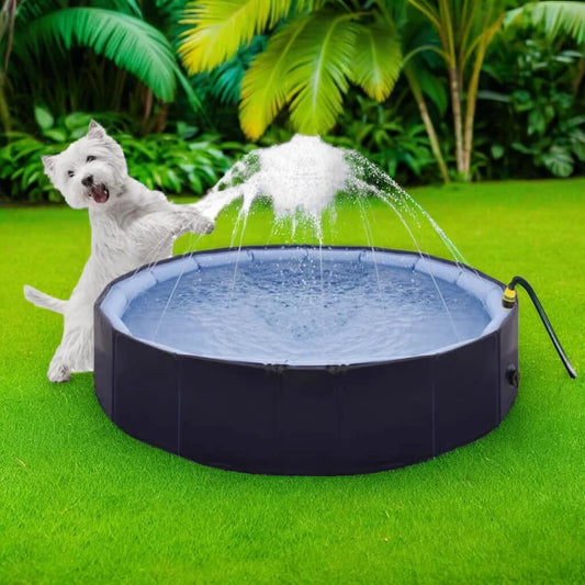 Piscina Splash con chorros para perros – diversión y frescura en verano