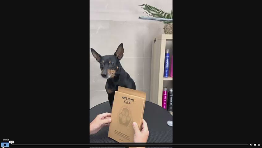 Guante-Manopla Doble Artero Kira para eliminar pelo suelto de perros y gatos