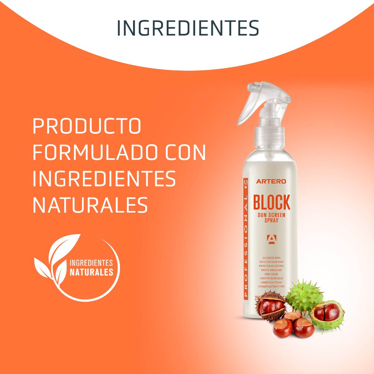 Perro protegido del sol con Artero Block Spray en verano