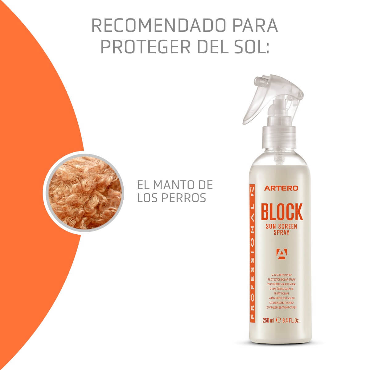 Perro protegido del sol con Artero Block Spray en verano