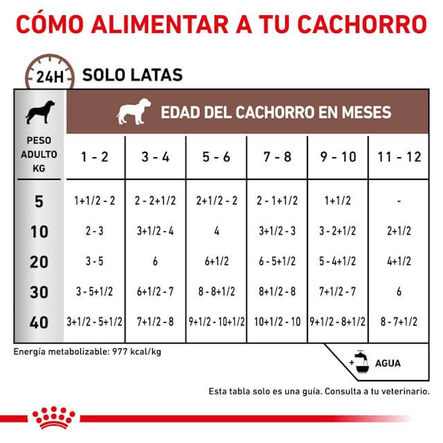 ROYAL CANIN Puppy Paté  | Pack de lata de 12 x 195 g para  cachorros.  Gabo y Gordo E Shop, la mejor tienda online en las Islas Canarias, España, tienda online para mascotas, perros, gatos, conejos, tortugas, animales, accesorios para mascotas en general. 
Gabo y Gordo E Shop in Canary Islands, the best store for pets, dogs, cats, rabbits, turtles, animals, pet accessories.