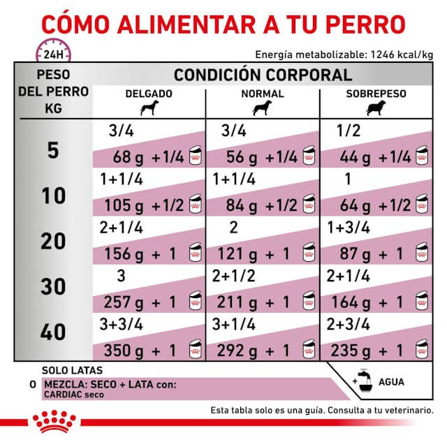ROYAL CANIN Cardiac | Comida húmeda para perros adultos.  Gabo y Gordo E Shop, la mejor tienda online en las Islas Canarias, España, tienda online para mascotas, perros, gatos, conejos, tortugas, animales, accesorios para mascotas en general. 
Gabo y Gordo E Shop in Canary Islands, the best store for pets, dogs, cats, rabbits, turtles, animals, pet accessories.