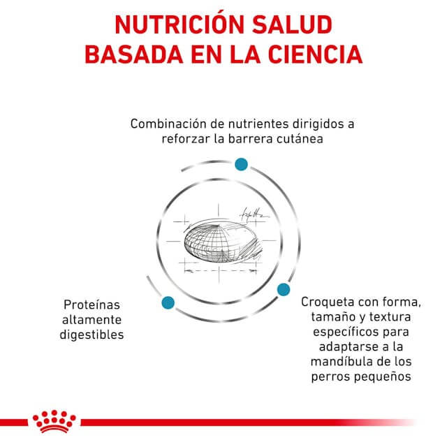 ROYAL CANIN Skin Care Small Dog  | Alimento dietético completo para perros adultos de razas pequeñas.  Gabo y Gordo E Shop, la mejor tienda online en las Islas Canarias, España, tienda online para mascotas, perros, gatos, conejos, tortugas, animales, accesorios para mascotas en general. 
Gabo y Gordo E Shop in Canary Islands, the best store for pets, dogs, cats, rabbits, turtles, animals, pet accessories.