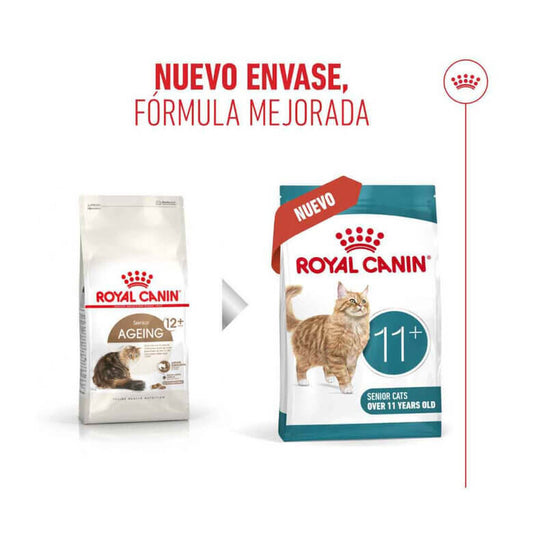 Royal Canin Ageing 11+ pienso seco para gatos sénior en Gran Canaria