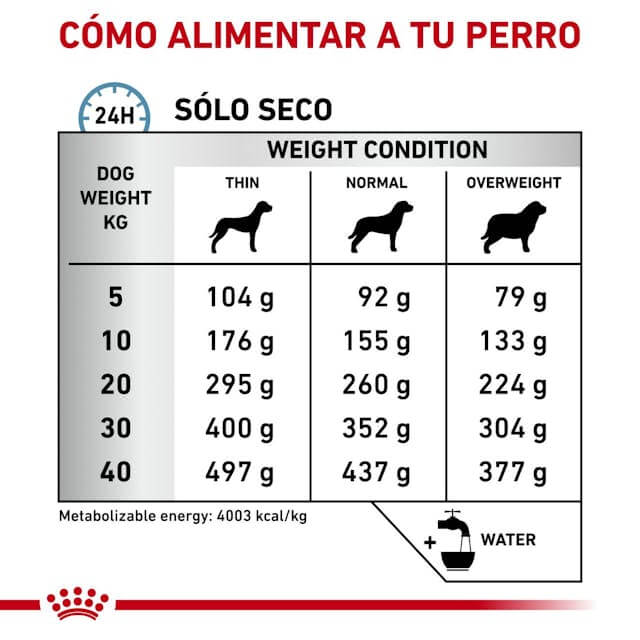 ROYAL CANIN Anallergenic pienso hipoalergénico para perros adultos con alergias o intolerancias alimentarias, ideal para piel sensible.