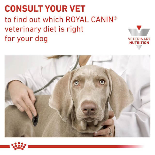 ROYAL CANIN Anallergenic Small Dog pienso dietético hipoalergénico para perros adultos de razas pequeñas con intolerancias alimentarias.