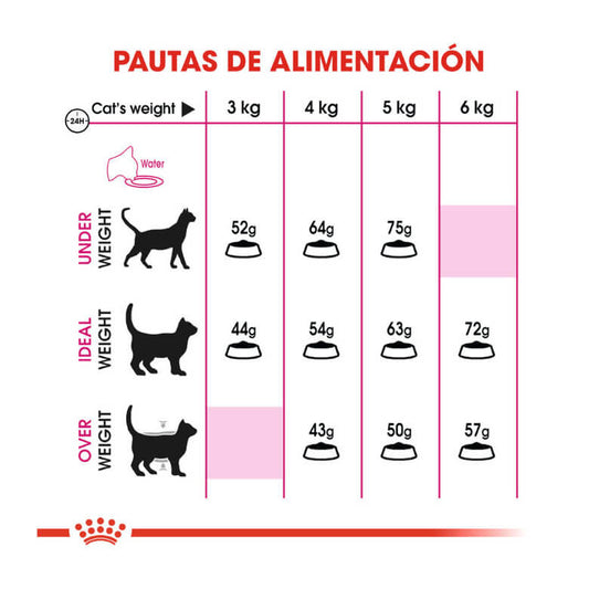 ROYAL CANIN Aroma Exigent 33 pienso para gatos exigentes adultos Gabo y Gordo E Shop Canarias España