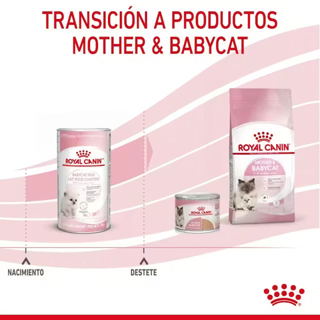 Royal Canin Babycat Milk leche maternizada para gatitos recién nacidos Canarias