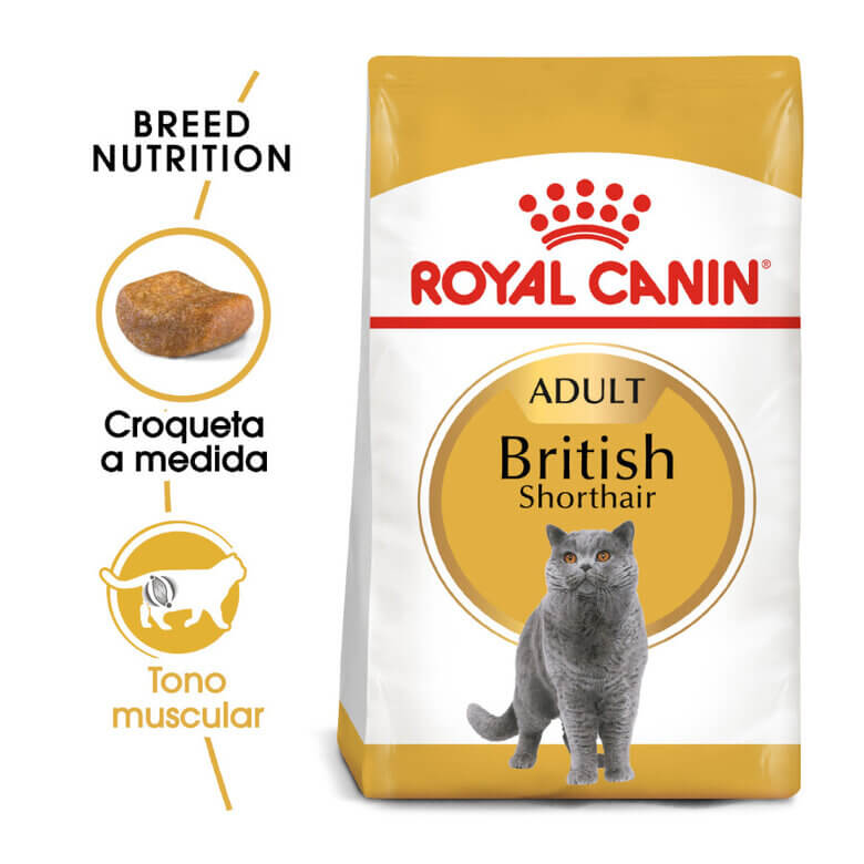 Saco de pienso ROYAL CANIN British Shorthair para gatos adultos de raza