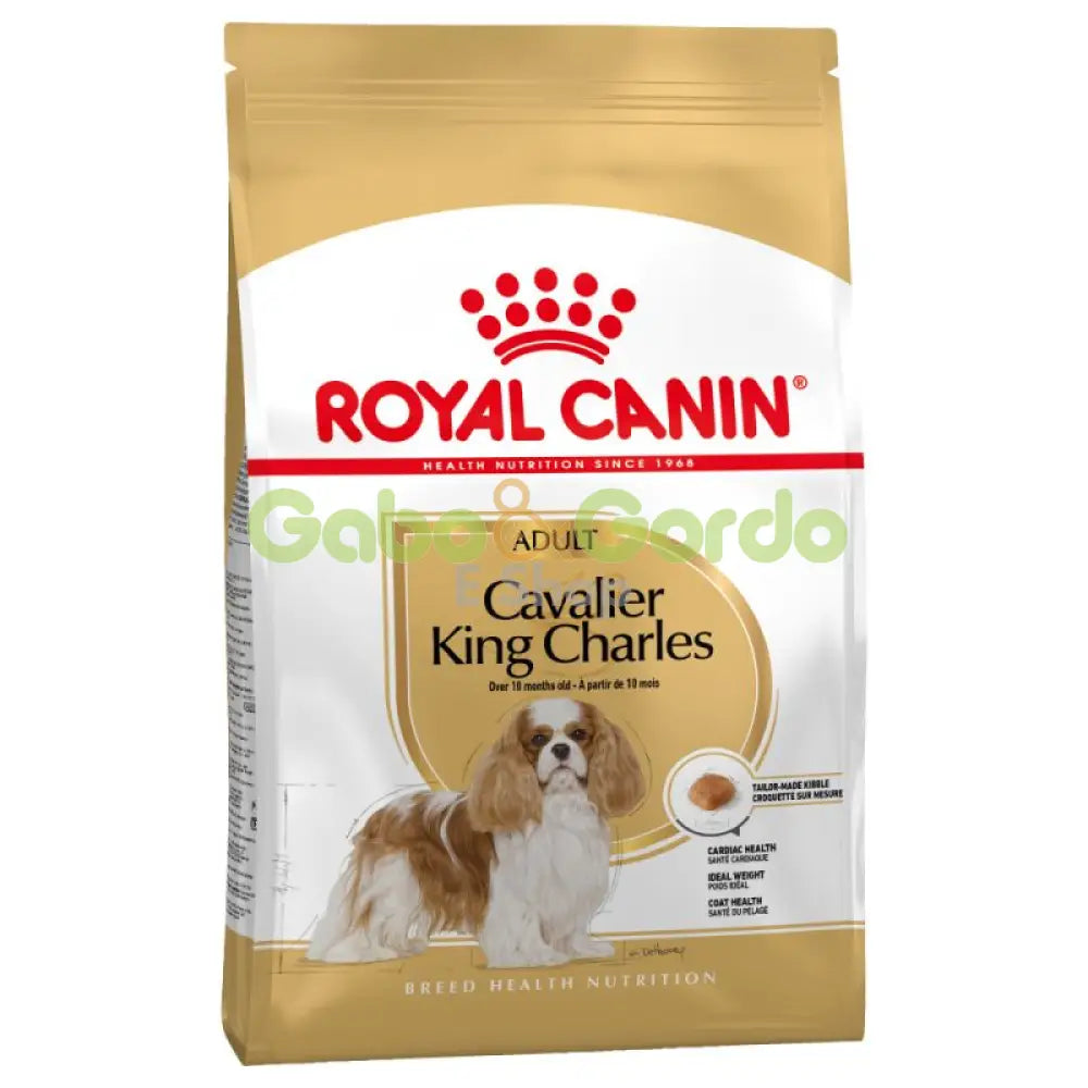 ROYAL CANIN RAZA Cavalier King Charles Adult 3 kg Gabo y Gordo E Shop, la mejor tienda online en Gran Canaria, Islas Canarias, España, tienda online para mascotas, perros, gatos, conejos, tortugas, animales, accesorios para mascotas en general. 
Gabo y Gordo E Shop is the best online pet shop in Gran Canaria, Canary Islands, Spain.