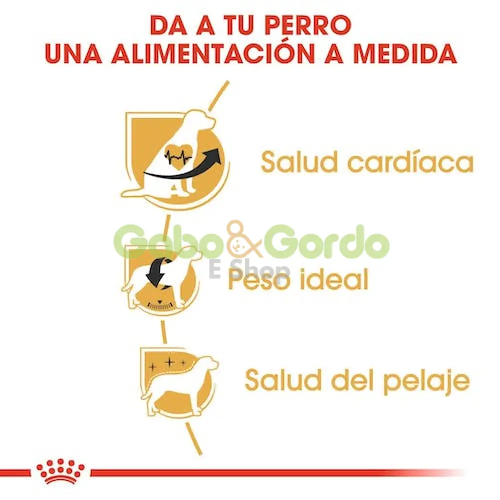 ROYAL CANIN RAZA Cavalier King Charles Adult 3 kg Gabo y Gordo E Shop, la mejor tienda online en Gran Canaria, Islas Canarias, España, tienda online para mascotas, perros, gatos, conejos, tortugas, animales, accesorios para mascotas en general. 
Gabo y Gordo E Shop is the best online pet shop in Gran Canaria, Canary Islands, Spain.