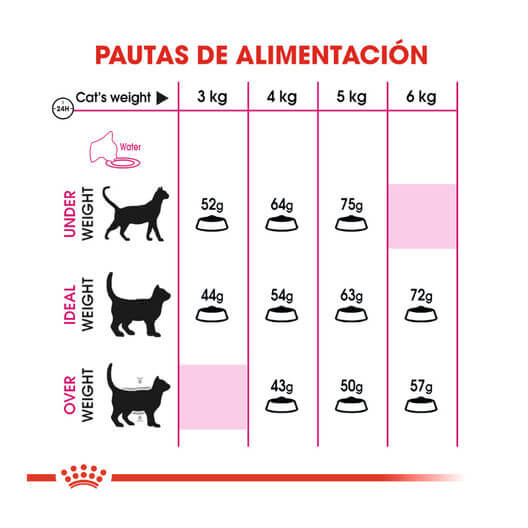 Royal Canin Fit 32 pienso para gatos adultos 1-7 años
