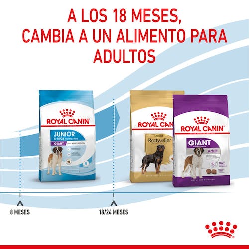 Royal Canin Giant Junior pienso cachorro raza gigante Gabo y Gordo E Shop