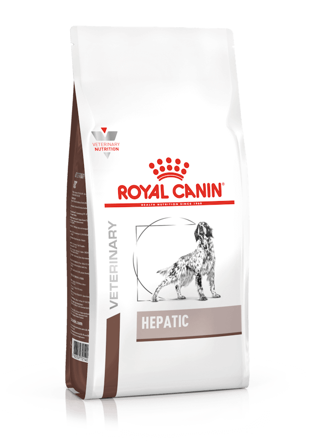 Perro comiendo pienso ROYAL CANIN Hepatic – Apoyo nutricional para el hígado