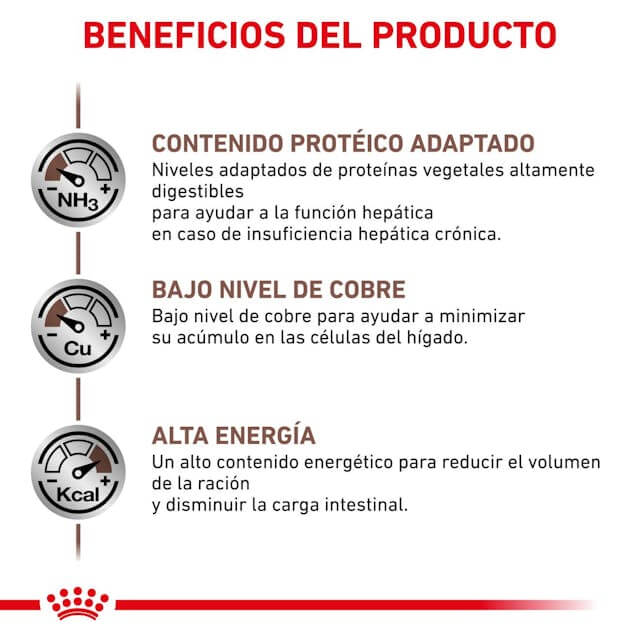 Perro comiendo pienso ROYAL CANIN Hepatic – Apoyo nutricional para el hígado