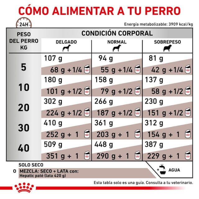Perro comiendo pienso ROYAL CANIN Hepatic – Apoyo nutricional para el hígado