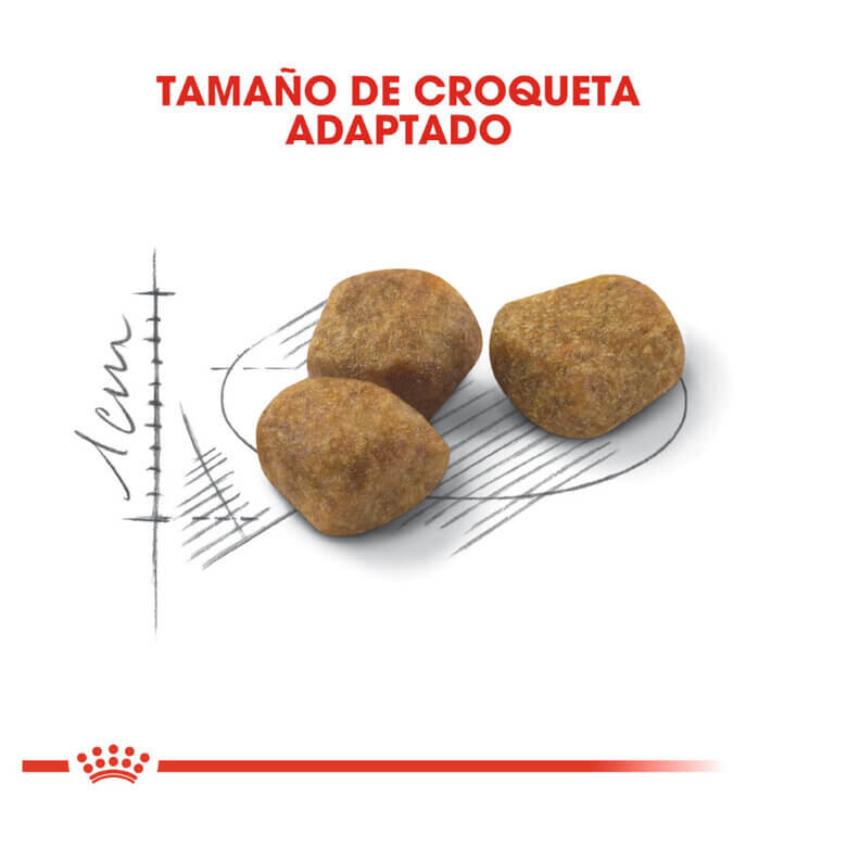 Royal Canin Indoor +7 pienso para gatos senior de interior.