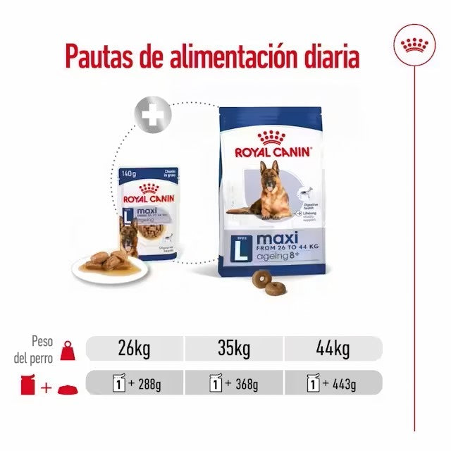 ROYAL CANIN Maxi Ageing 8+ en salsa para perros grandes sénior – 10x140g
