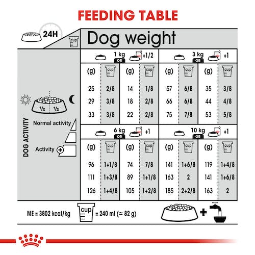Royal Canin Mini Relax Care pienso perros pequeños Gabo y Gordo E Shop