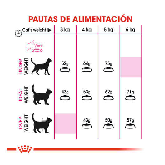 ROYAL CANIN Protein Exigent 42 pienso para gatos exigentes adultos 1-10 años Gabo y Gordo E Shop Canarias España