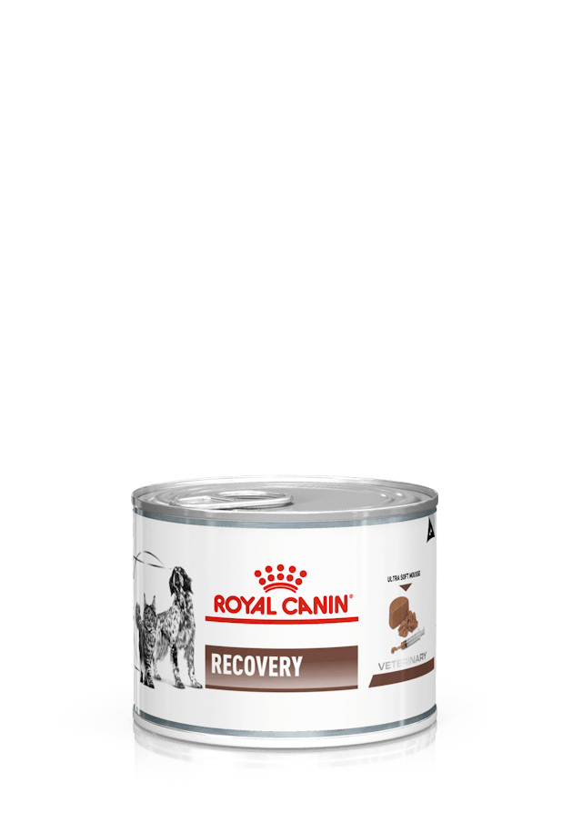 Pack de 12 latas ROYAL CANIN Recovery para perros y gatos en recuperación