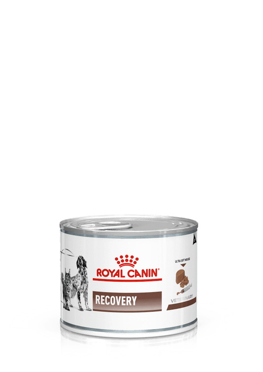 Pack de 12 latas ROYAL CANIN Recovery para perros y gatos en recuperación