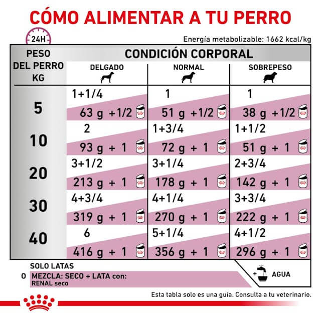 Comida húmeda ROYAL CANIN Renal para perros adultos, pack de 12 latas
