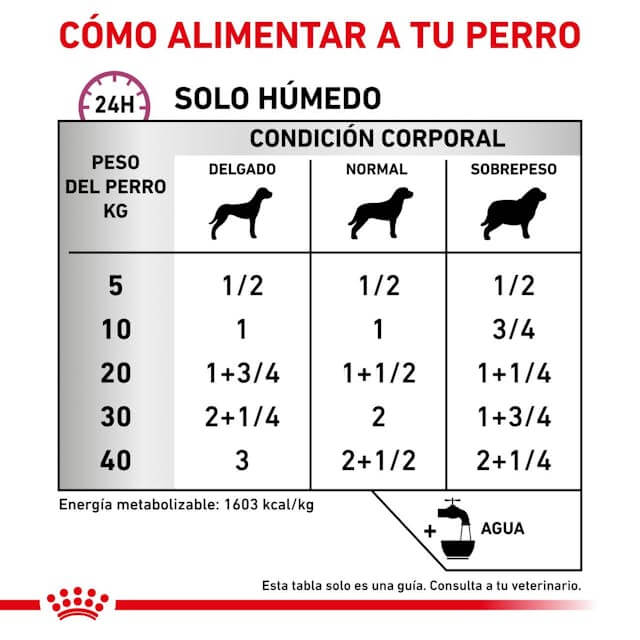 Pack de 12 latas ROYAL CANIN Renal Special Paté para perros con enfermedad renal