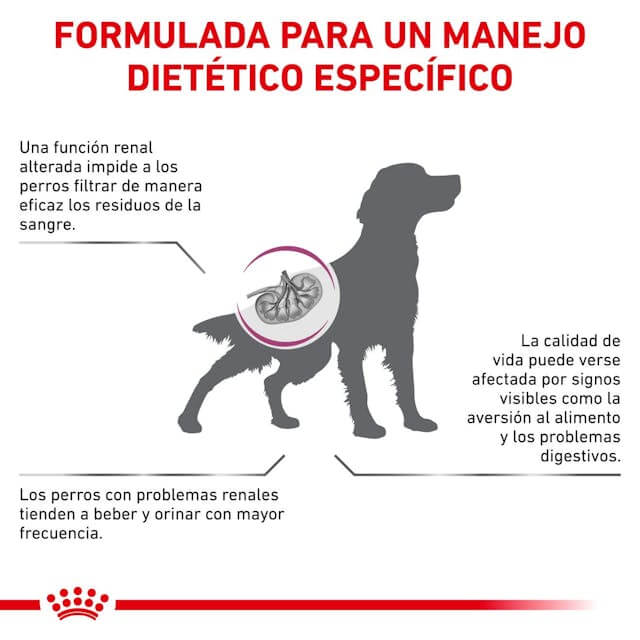 Saco de pienso ROYAL CANIN Renal Special para perros adultos con insuficiencia renal.