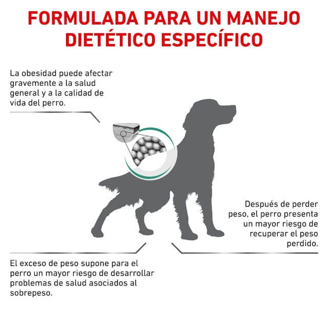 ROYAL CANIN Satiety Weight Management pienso dietético para perros adultos con sobrepeso y tendencia a la obesidad.