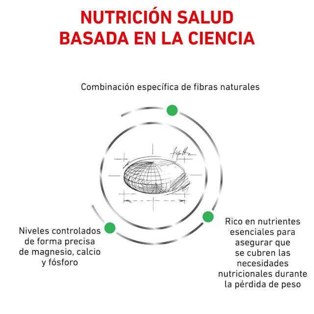 Royal Canin Satiety Weight Management Small Dog, pienso dietético para perros pequeños con sobrepeso.