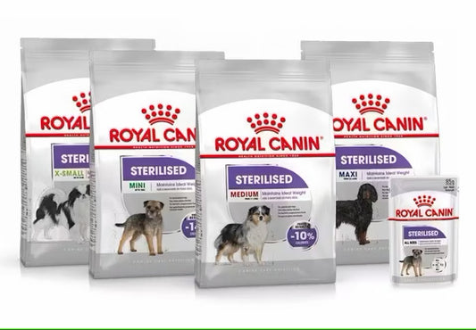 ROYAL CANIN Sterilised Care para perros esterilizados, alimento bajo en calorías con efecto saciante.