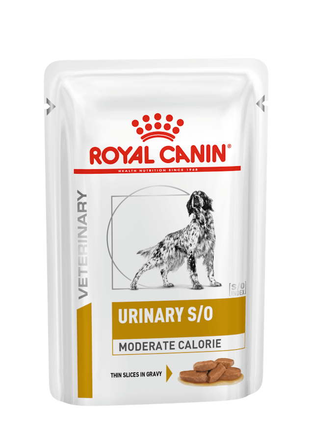 Royal Canin Urinary S/O Moderate Calorie Salsa para perros, comida húmeda veterinaria en sobres, pack de 12 x 100g.