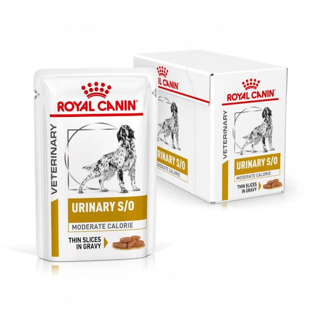 Royal Canin Urinary S/O Moderate Calorie Salsa para perros, comida húmeda veterinaria en sobres, pack de 12 x 100g.