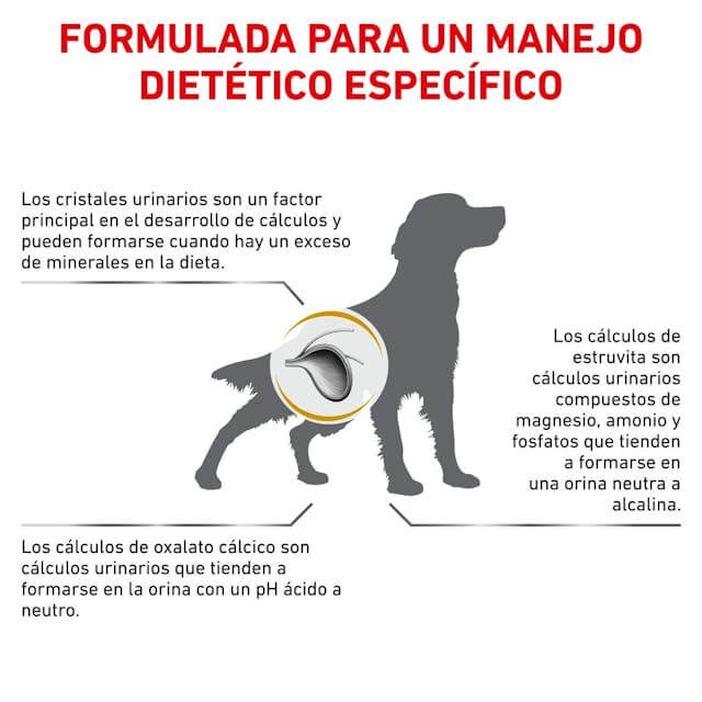 ROYAL CANIN Urinary S/O pienso seco dietético para perros con problemas urinarios, 100% equilibrado.
