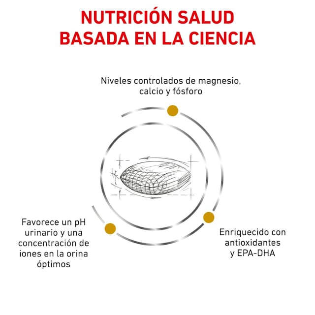 ROYAL CANIN Urinary S/O pienso seco dietético para perros con problemas urinarios, 100% equilibrado.