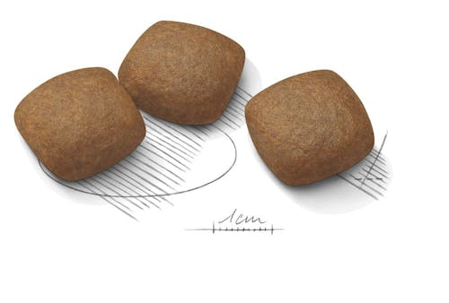 ROYAL CANIN Joint Care Maxi adult Gabo y Gordo E Shop, la mejor tienda online en las Islas Canarias, España, tienda online para mascotas, perros, gatos, conejos, tortugas, animales, accesorios para mascotas en general. 
Gabo y Gordo E Shop in Canary Islands, the best store for pets, dogs, cats, rabbits, turtles, animals, pet accessories.