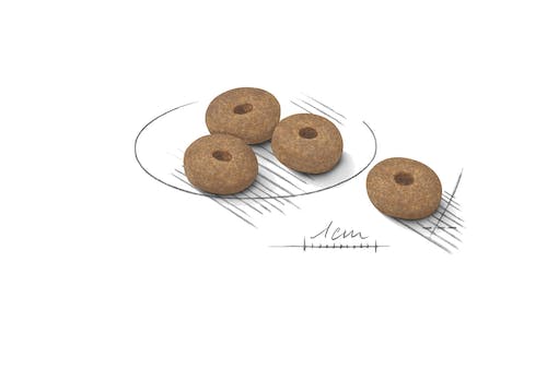 ROYAL CANIN Gama Care Light Weight Xsmall, Mini, Medium, Maxi. Gabo y Gordo E Shop, la mejor tienda online en las Islas Canarias, España, tienda online para mascotas, perros, gatos, conejos, tortugas, animales, accesorios para mascotas en general. 
Gabo y Gordo E Shop in Canary Islands, the best store for pets, dogs, cats, rabbits, turtles, animals, pet accessories.