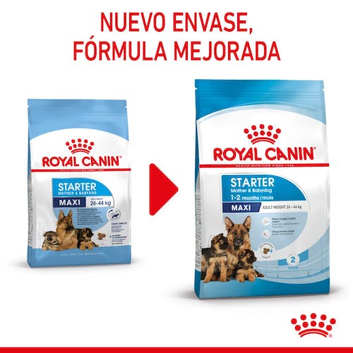 ROYAL CANIN Maxi STARTER Mother & Babydog Gabo y Gordo E Shop, la mejor tienda online en las Islas Canarias, España, tienda online para mascotas, perros, gatos, conejos, tortugas, animales, accesorios para mascotas en general. 
Gabo y Gordo E Shop in Canary Islands, the best store for pets, dogs, cats, rabbits, turtles, animals, pet accessories.