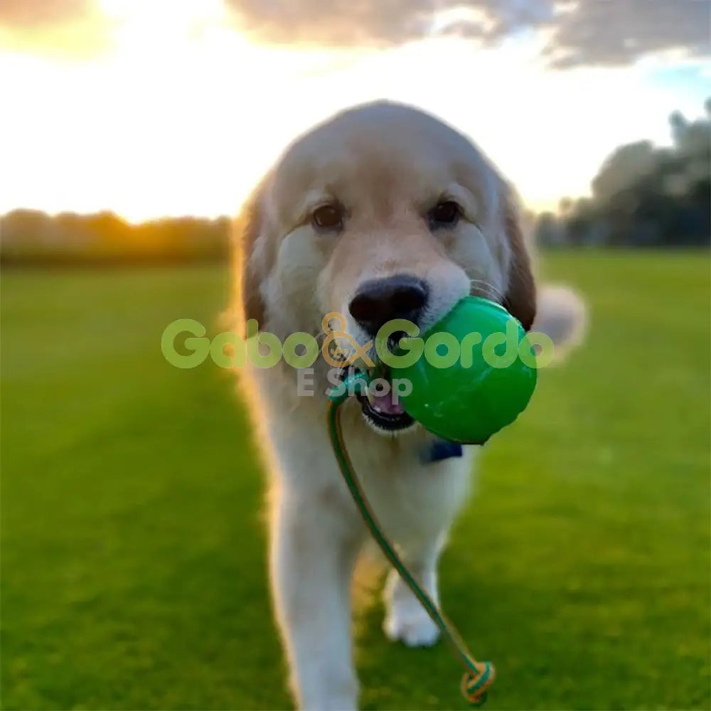 STARMARK Swing N Fling Chewball pelota dispensadora con cuerda para perros