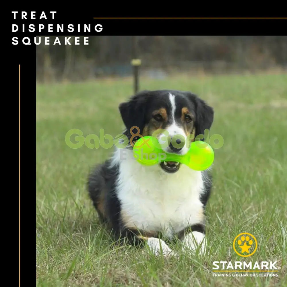 STARMARK treat dispensing SQUEAKEE | Juguete hueso dispensador de alimentos para perro