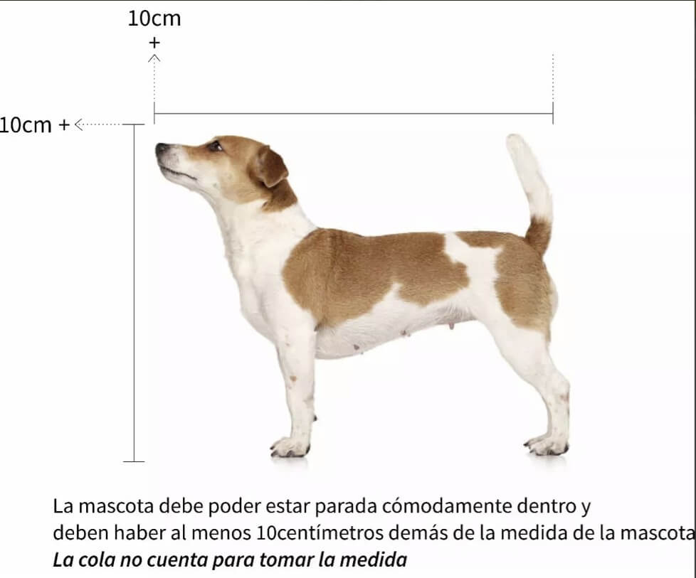 Transportín Bracco Travel para mascotas, cómodo, seguro y homologado IATA
Gabo y Gordo E Shop in Canary Islands, the best store for pets, dogs, cats, rabbits, turtles, animals, pet accessories.