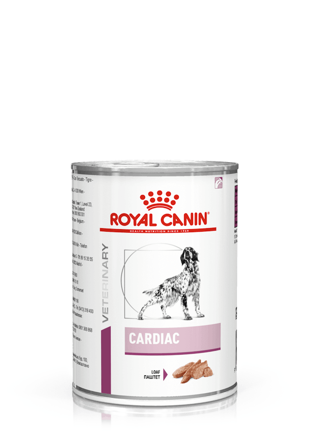 ROYAL CANIN Cardiac | Comida húmeda para perros adultos.  Gabo y Gordo E Shop, la mejor tienda online en las Islas Canarias, España, tienda online para mascotas, perros, gatos, conejos, tortugas, animales, accesorios para mascotas en general. 
Gabo y Gordo E Shop in Canary Islands, the best store for pets, dogs, cats, rabbits, turtles, animals, pet accessories.