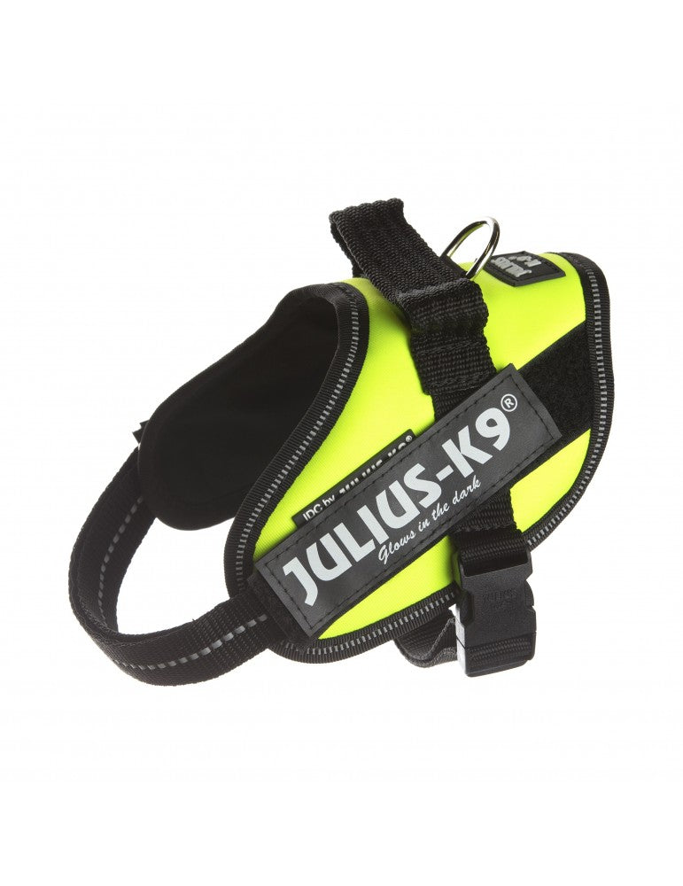 JULIUS K9 IDC Powerharness arnés Verde Neón para perro Gabo&Gordo Pet Shop en Las Palmas de Gran Canaria tienda para mascotas, perros, gatos, conejos, tortugas, animales, accesorios para mascotas