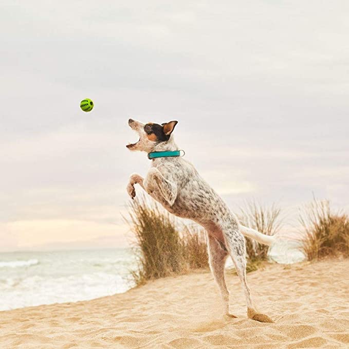 DUVO Pelota con sabor para limpieza dental de 5 y 7cm PARA PERRO en Gabo&Gordo Pet Shop en Las Palmas de Gran Canaria tienda para mascotas, perros, gatos, conejos, tortugas, animales, accesorios para mascotas