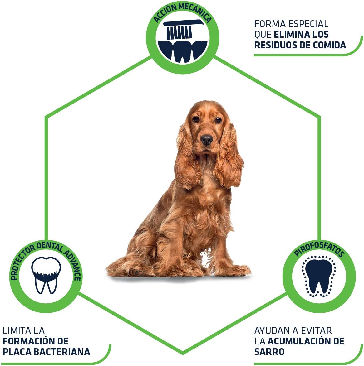 snack ADVANCE DENTAL CARE STICK MEDIUM-MAXI Gabo&Gordo Pet Shop en Las Palmas de Gran Canaria tienda para mascotas, perros, gatos, conejos, tortugas, animales